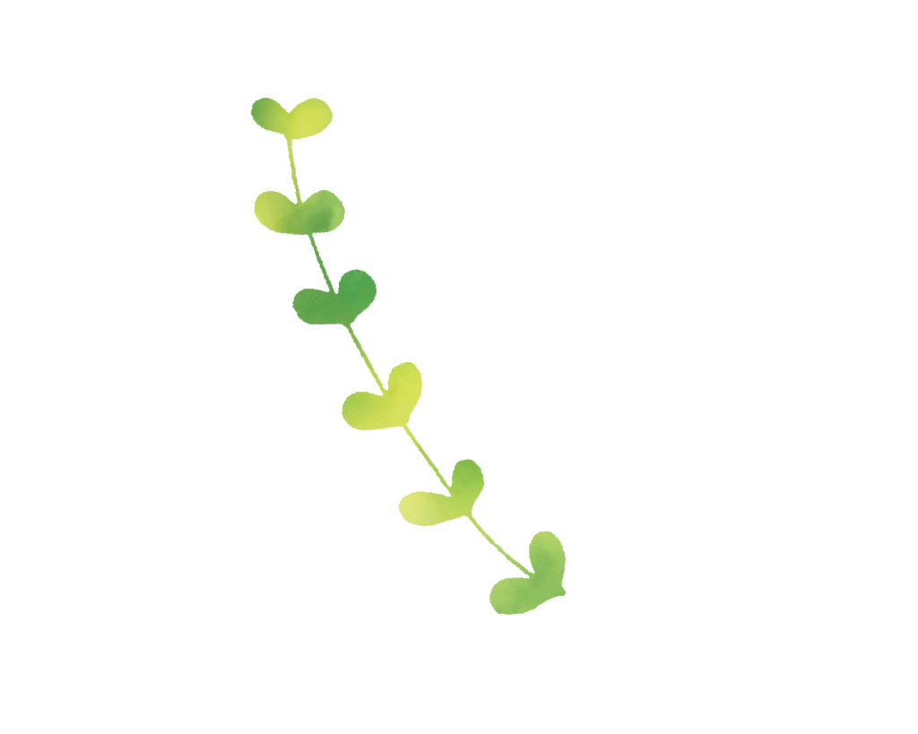 あしらい６